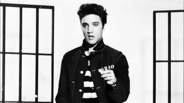 عمل فني لـ Jailhouse Rock