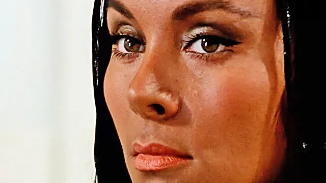 عمل فني لـ The Other Side of the Wind