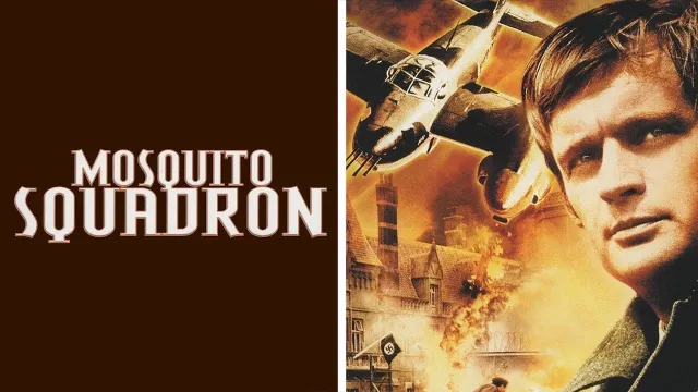 عمل فني لـ Mosquito Squadron