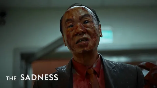 عمل فني لـ The Sadness
