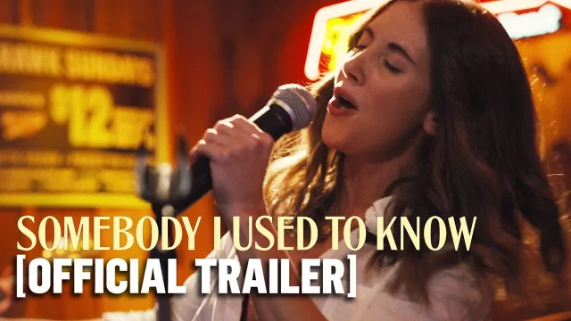 عمل فني لـ Somebody I Used to Know