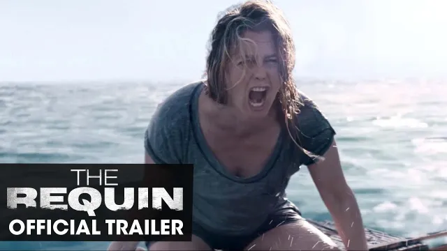 عمل فني لـ The Requin