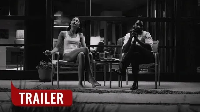 عمل فني لـ Malcolm & Marie