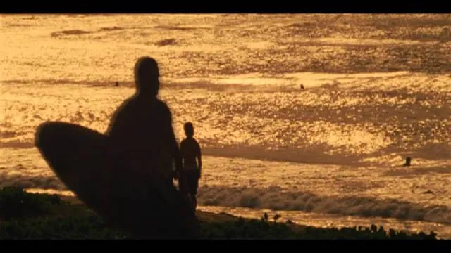 عمل فني لـ The Descendants