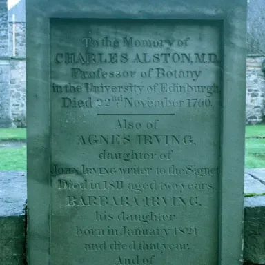 صورة ملف Charles Alston (botanist)