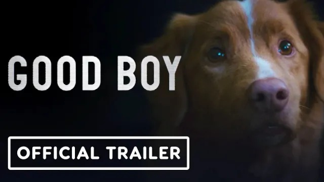 Imagen de Good Boy (2025 Komasa film)