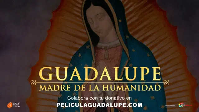 Imagen de Guadalupe: Madre de la Humanidad