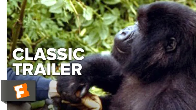 Imagen de Gorillas in the Mist