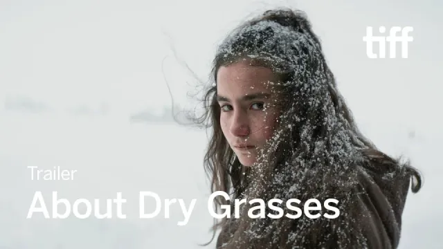 Imagen de About Dry Grasses