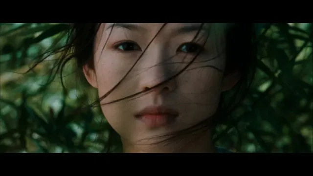 Imagen de Crouching Tiger, Hidden Dragon