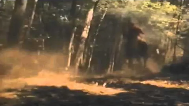 Imagen de Tecumseh: The Last Warrior