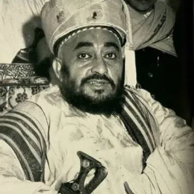 Foto de perfil de Ahmad bin Yahya