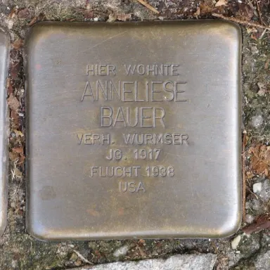 Foto de perfil de Anneliese Bauer
