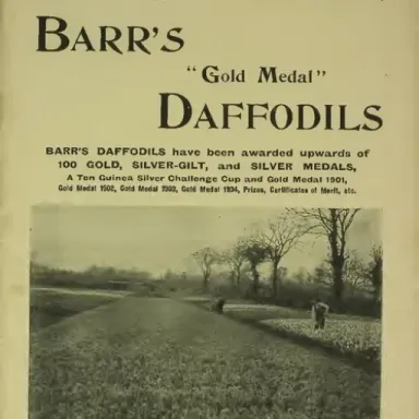 Foto de perfil de Felicity Barr
