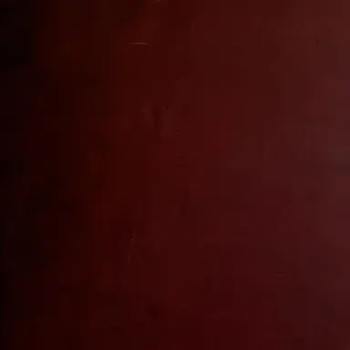 Foto de perfil de Paul Radin