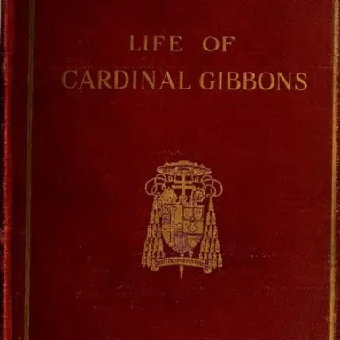 Foto de perfil de Martin Gibbons
