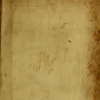 Foto de perfil de Tom Biss