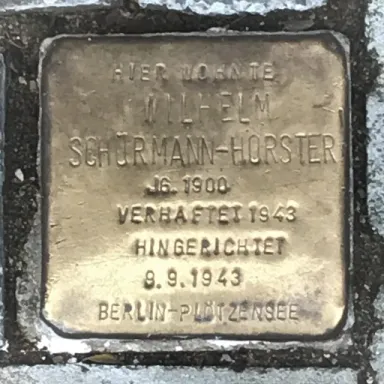 Foto de perfil de Wilhelm Schürmann-Horster