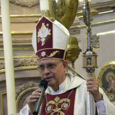 Foto de perfil de Benjamín Castillo Plascencia