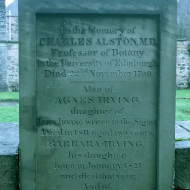 Foto de perfil de Charles Alston (botánico)