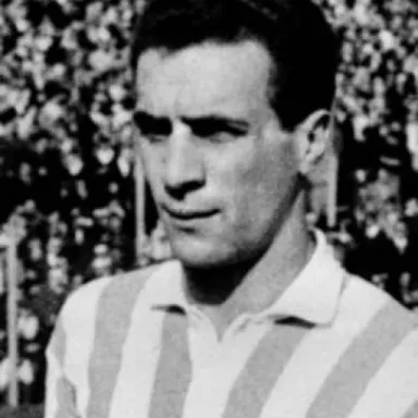 Foto de perfil de José Nehin