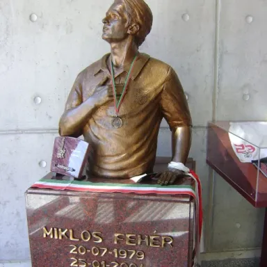 Foto de perfil de Miklós Fehér