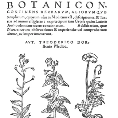 Foto de perfil de Theodor Dorsten