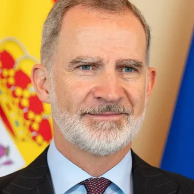 Foto de perfil de Felipe VI de España