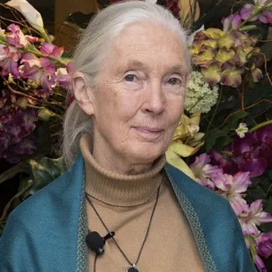 Foto de perfil de Jane Goodall