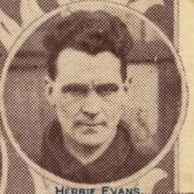 Foto de perfil de Herbie Evans