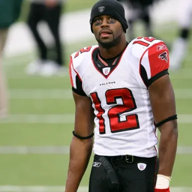 Foto de perfil de Michael Jenkins (wide receiver)