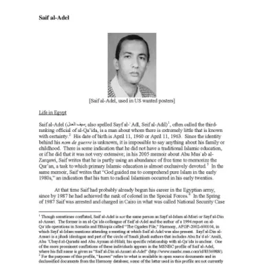Foto de perfil de Saif al-Adel