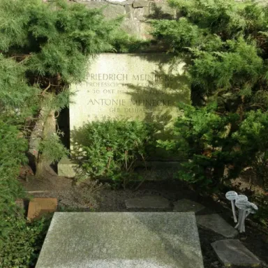 Foto de perfil de Friedrich Meinecke