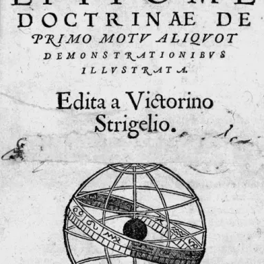 Foto de perfil de Victorinus Strigel