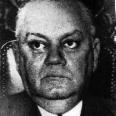 Foto de perfil de José Linhares