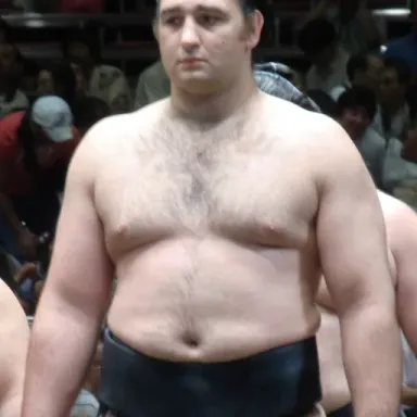 Foto de perfil de Kotoōshū Katsunori