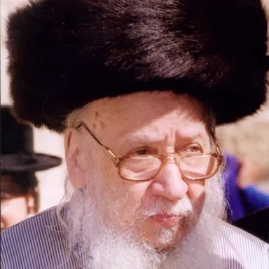 Foto de perfil de Levi Yitzchak Horowitz