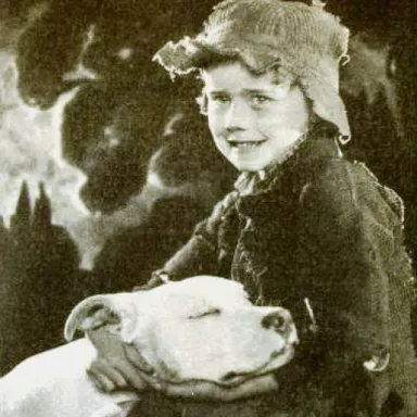 Foto de perfil de B. Reeves Eason Jr.
