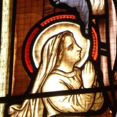 Foto de perfil de Saint Estelle