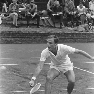 Foto de perfil de John Newcombe