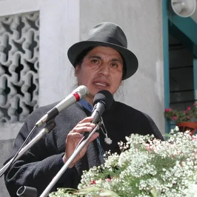 Foto de perfil de Luis Macas