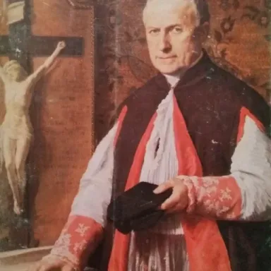 Foto de perfil de Victor Scheppers
