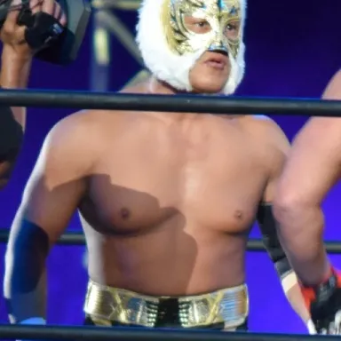 Foto de perfil de Tiger Mask IV