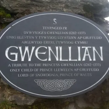 Foto de perfil de Gwenllian of Wales