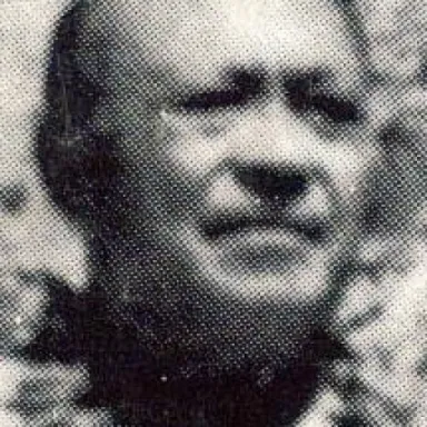 Foto de perfil de Napoleon Andrew Tuiteleleapaga