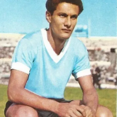 Foto de perfil de Pedro Rocha (Uruguayan footballer)