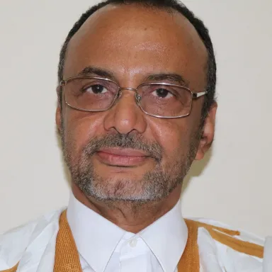 Foto de perfil de Sidi Mohamed Ould Boubacar