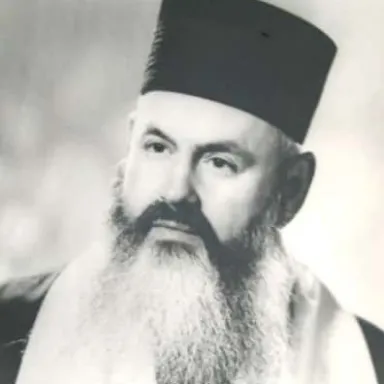 Foto de perfil de Shalom Messas