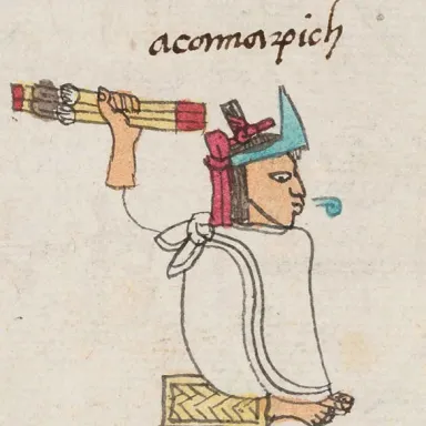 Foto de perfil de Acamapichtli