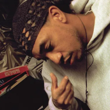 Foto de perfil de Prince Paul (producer)